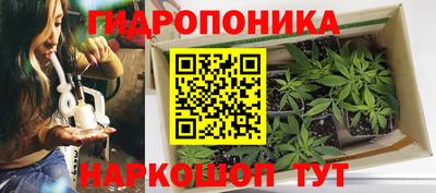 СК Апрелевка