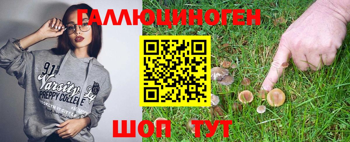 Галлюциногенные грибы Magic Shrooms Ангарск