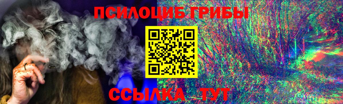 Ангарск  Псилоцибиновые грибы Cubensis  Вход с VPN  Псилоцибиновые грибы прущие грибы 
